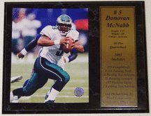 Donovan McNabb Photograph with StatIsticIstics Nested on a 12