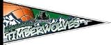 Minnesota Timberwolves 12