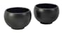 Chantal Jasmine Tea Cup Set of Two, 6 Ounces Each, Semi Gloss Black