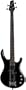 Electric Bass Guitar
