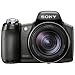 Sony Cybershot DSC-HX1 9.1MP Digital Camera with 20x Optical Zoom with Super Steady Shot Image Stabilization and 3.0 Inch LCD