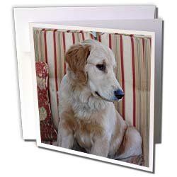 image link -  - B002O1RTWA