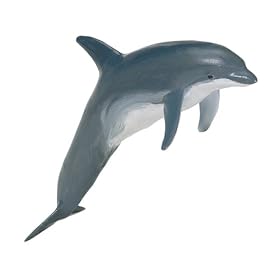 Bottlenose Dolphin Calf, Monterey Bay Aquarium, Scale 1 20 by Monterey Bay Aquarium