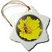 Wildflower Lance Leaf Coreopsis - 3 Inch Snowflake Porcelain Ornament