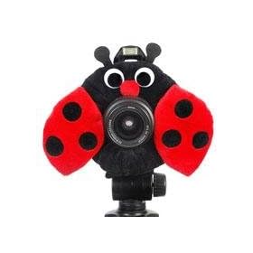 Camera Creatures Lady Bug Portrait Posing Prop