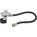 GasWatch Regulator Hose with Emergency Shutoff