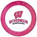 Wisconsin Badgers 4 Piece Dinner Plate Set