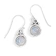 Round Moonstone Polished Edge Earrings