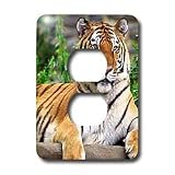 Tigers - Siberian Tiger - Light Switch Covers - 2 plug outlet cover