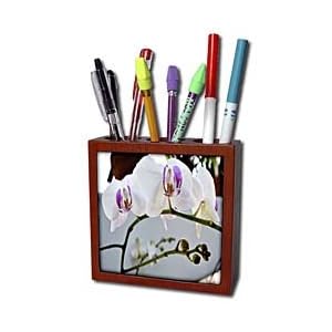WhiteOak Photography Floral Prints - White Phalaenopsis White Orchids - Tile Pen Holders-5 inch tile pen holder