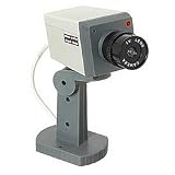 Indoor Dummy Camera W/Motion Detector And Led