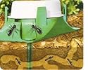 Terro 1800 Outdoor Liquid Ant Bait 3-pack