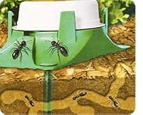 Terro 1800 Outdoor Liquid Ant Bait 3-pack