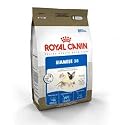 Royal Canin Feline Health Nutrition Siamese 38 Formula Dry Cat Food