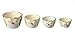 Creative Co-op Dolomite Owl Measuring Cups, Multicolored, Set of 4