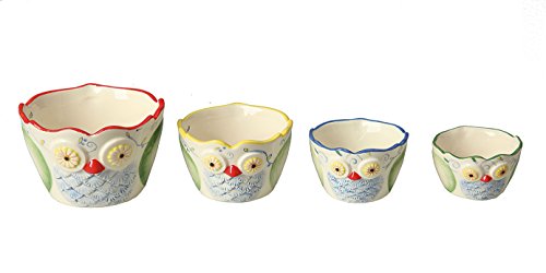 Creative Co-op Dolomite Owl Measuring Cups, Multicolored, Set of 4