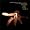 Dark Night Of The Soul