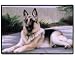 German Shepherd Porch Doormat