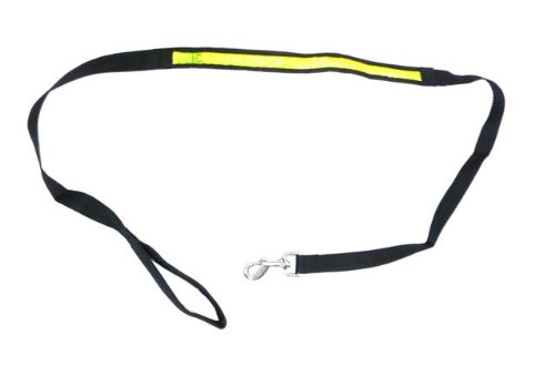HIGH VISIBLITY PET SAFETY ILLUMINATED 61″ DOG LEASH GLOW IN THE DARK