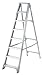 Promaster