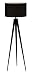 Adesso Director Floor Lamp