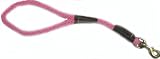Pink Traffic Lead All in One Dog Collar and Leash