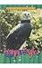 Harpy Eagles (Animals of the Rain Forest)
