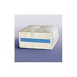 Select 6 Full Lifestyle Futon Mattress