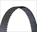 Automotive : Dayco 95283 Timing Belt