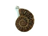 PA0959B Madagascar Ammonite Fossil Crystal Pendant