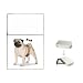 pug46  - Pug Flip Top Lighter