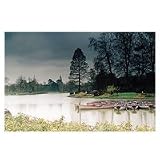 Cokin P121F Filter, P, Gradual Grey G2 Full