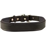 Perri's Leather Padded Leather Dog Collar