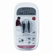 Belkin F3U133-10 Hi-Speed USB 2.0 Cable (10 Feet)