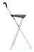 Golfers Walking Chair