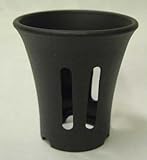 長生蘭　セッコク　プラ鉢　２．５号 ４００枚セット