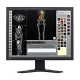 Eizo 21-in LCD TV