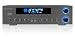 Technical Pro RX-B33   2 Channel 1000 Watt Amplifier (Black)
