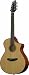 Breedlove Atlas Studio C250/SM-12 Acoustic Electric Guitar