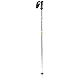 Leki RX Performer Ski Poles - Adult 2010