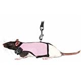 Trixie 61511 Kleintiergarnitur f&uuml;r Ratten, Nylon, 9-12 cm/12-18 cm