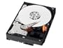WD RE2-GP WD5000ABPS - Hard Drive - 500 GB - SATA-300 (Q42976) Category: Internal Hard Drives