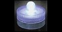 Box of 10 Acolyte Submersible Floralyte White - On Sale Now!