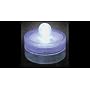 Box of 10 Acolyte Submersible Floralyte White - On Sale Now!
