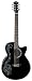 Luna Fauna Acoustic Guitar, Dragon