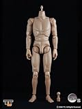1/6フィギュア素体 T3.0 男性 ボディ（タン） 単品イメージ