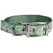 Pretty Paisley Collars 6"-10"