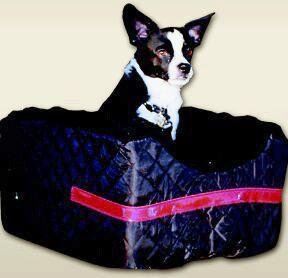 Black Bicycle Rider Outlook for Pets