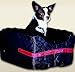 Black Bicycle Rider Outlook for Pets