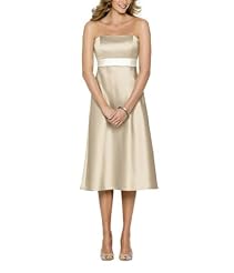 Strapless Belted Sleeveless Satin  Dress